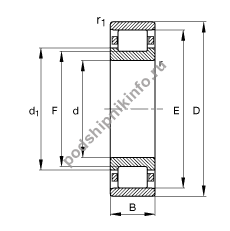 ��������� N205-E-TVP2
