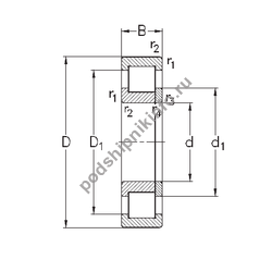 ��������� NUP304-E-TVP3